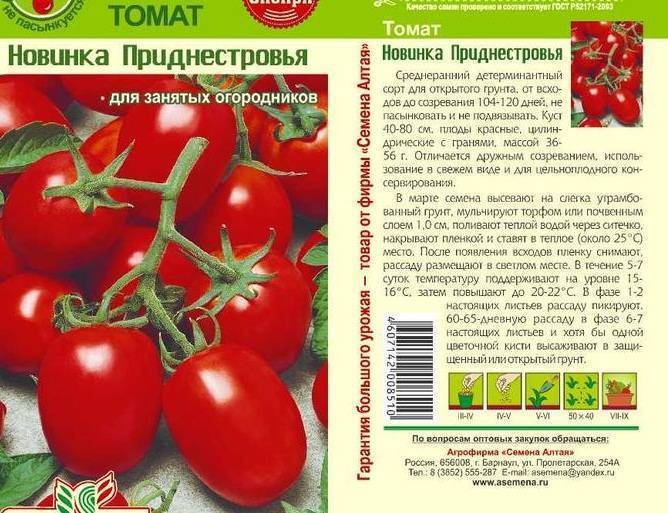 Томат любимый праздник: характеристика и описание сорта с фото