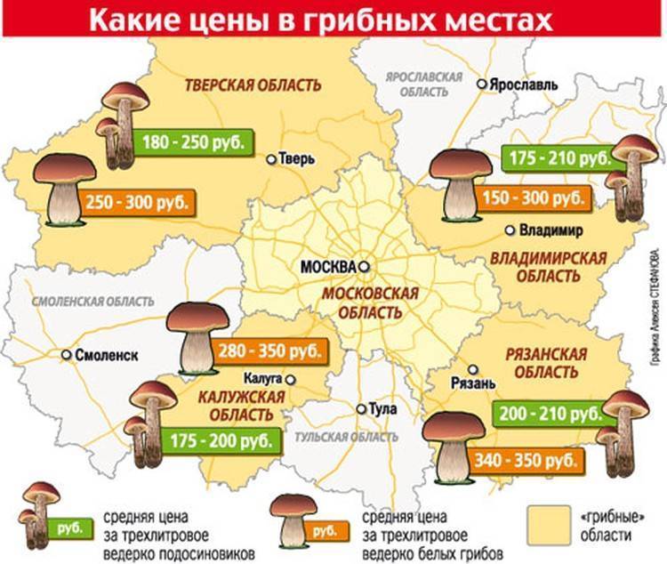 Грибная карта московской области карта