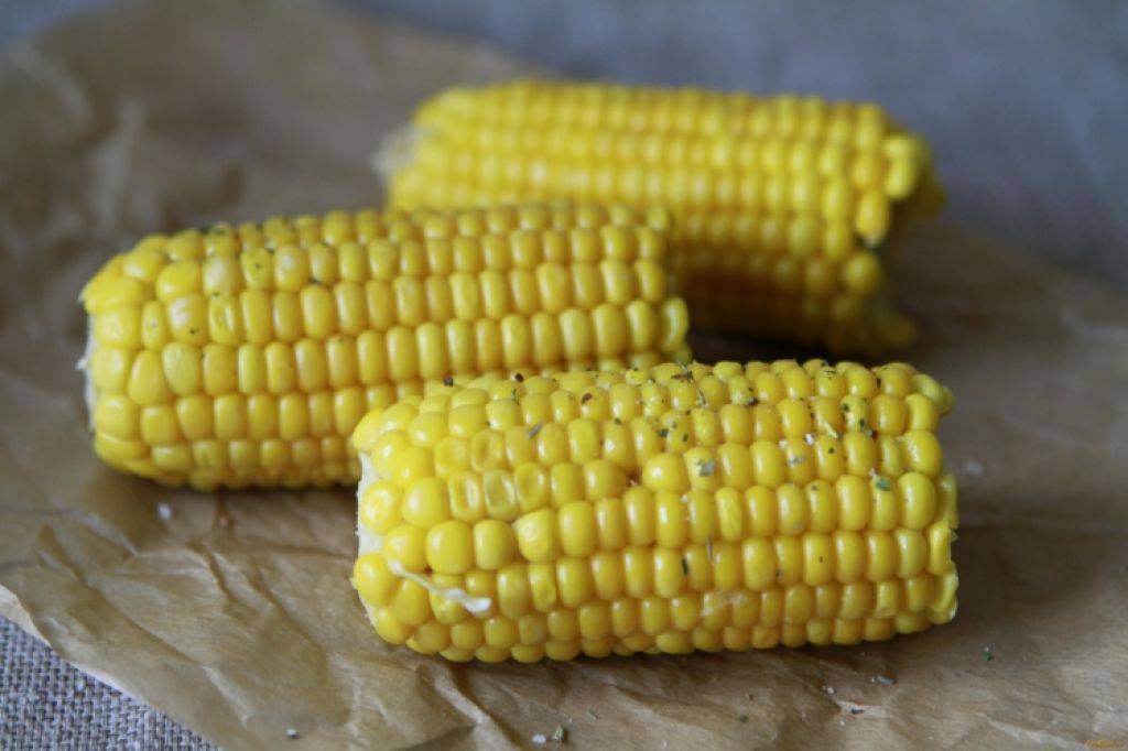 Кукуруза: польза и вред для организма человека, вареная