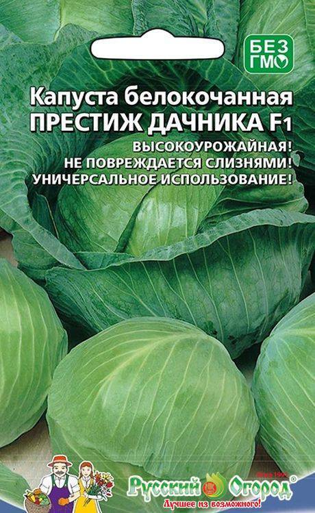 Капуста престиж f1: отзывы, фото, описание сорта, урожайность, выращивание, посадка и уход