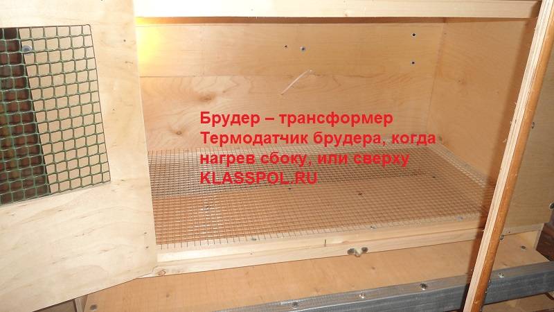 Какой должен быть брудер для цыплят?