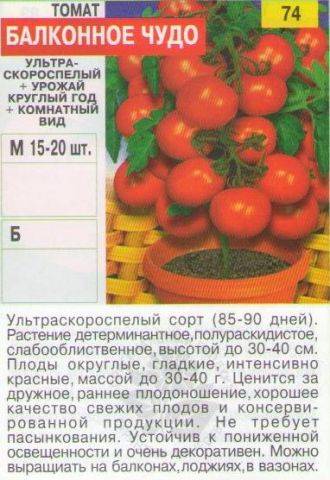 Сорт балконное чудо: лучшие помидоры для начинающих