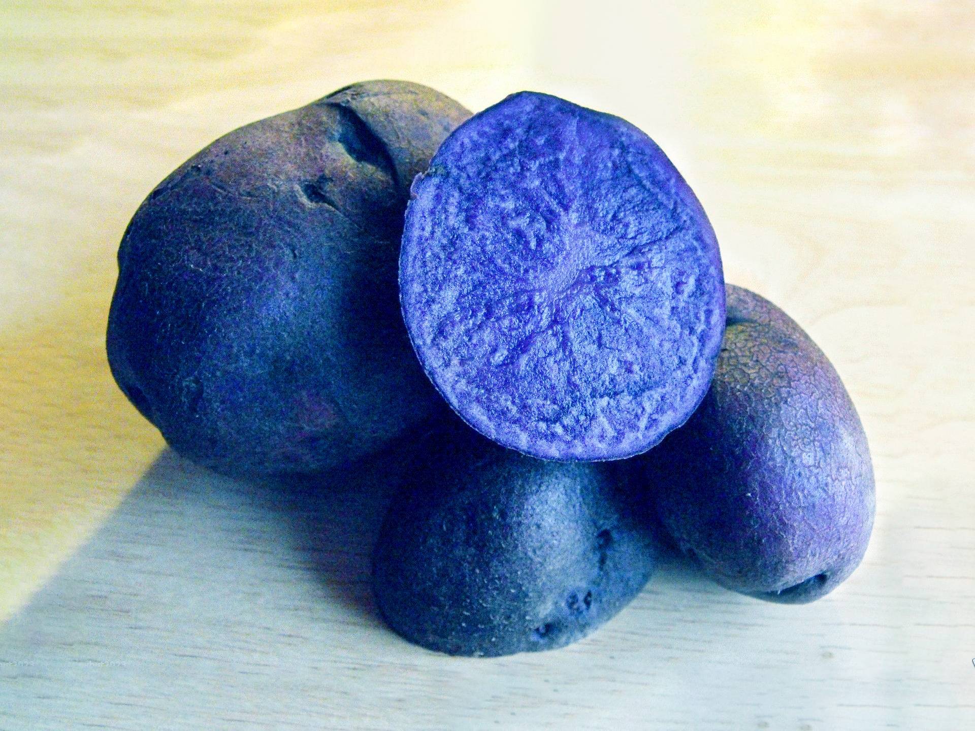 Сорт картофеля Linzer blaue