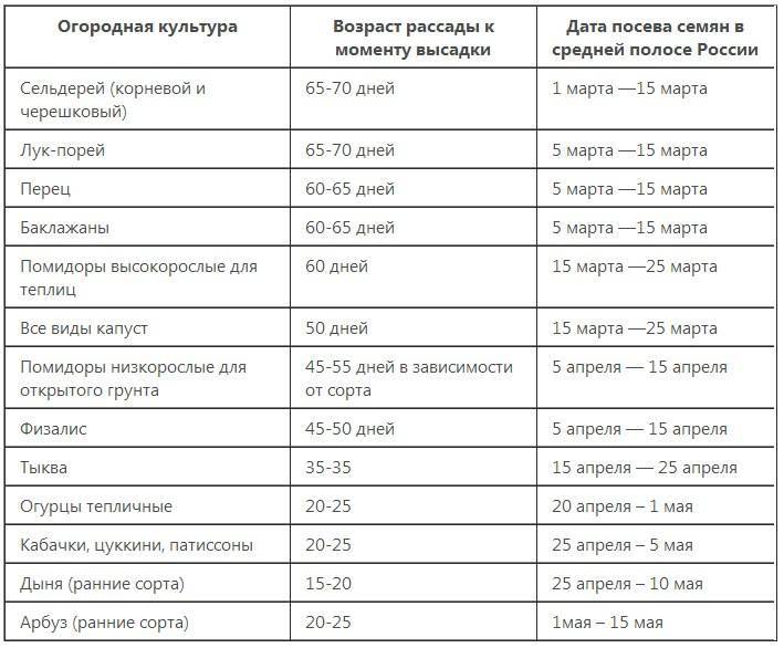 При какой температуре высаживать салат. Сроки высадки рассады овощей в открытый грунт. Сроки посадки овощных культур в открытый грунт. Сроки посева семян основных овощных культур таблица. Таблица высадки овощей на рассаду.