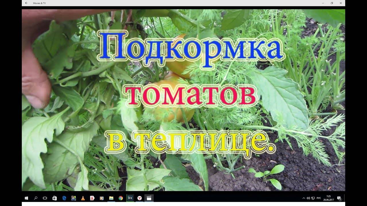 Как приготовить удобрение из крапивы для подкормки растений