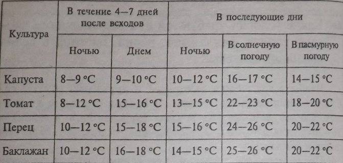 Какую температуру выдерживает рассада томатов и как спасти подмерзшие растения