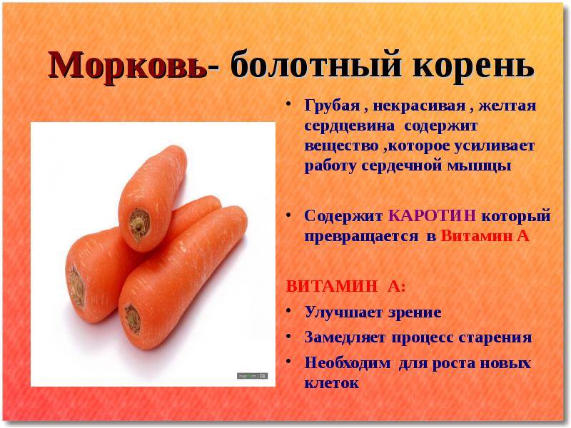 Полезные свойства желтой моркови, и в чем отличие от обычной оранжевой