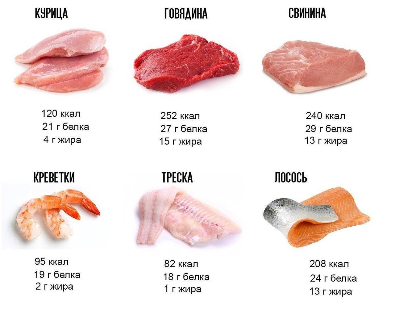 Мясо утки польза и вред для организма