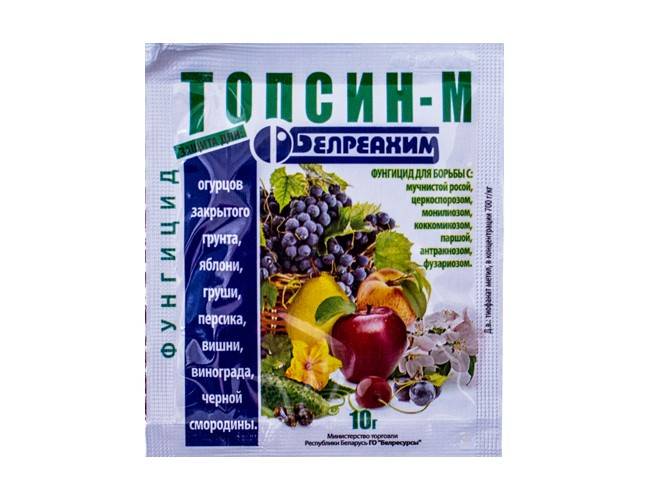 Фунгицид «топсин-м»: инструкция по применению против болезней полевых, плодовых культур, овощей и винограда