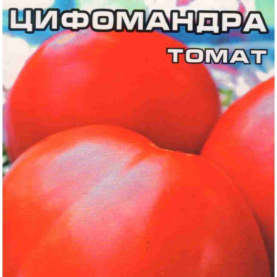 Томат цифомандра: описание сорта, характеристика, отзывы об урожайности, фото