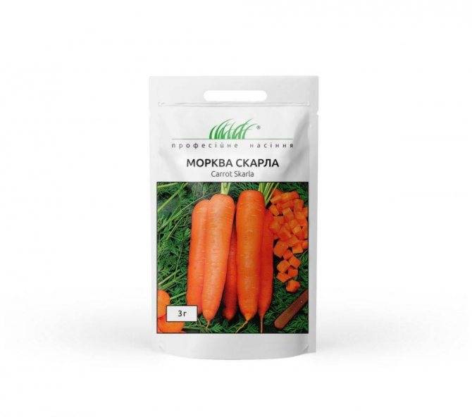 Морковь канада f1: описание и отзывы о популярном сорте