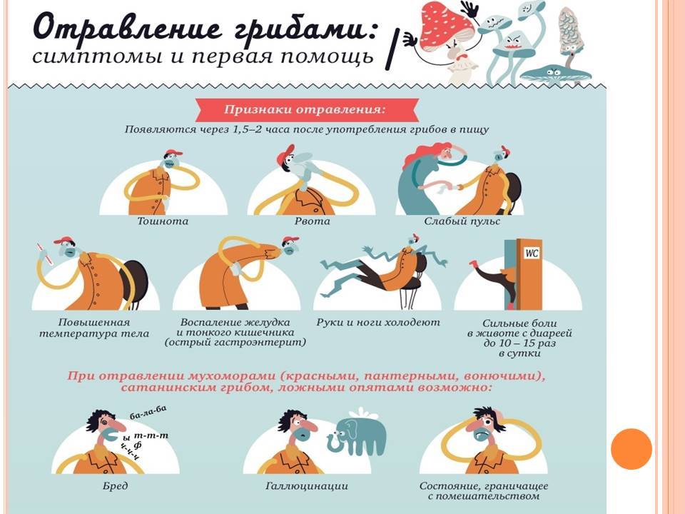 Признаки отравления грибами картинки