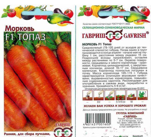 Лучшие сорта моркови для сибири: посадка семенами в открытый грунт, для зимнего хранения, самые урожайные виды - ранние, поздние, отзывы и фото с описанием