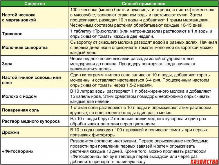 Все секреты выращивания томатов и огурцов в теплицах