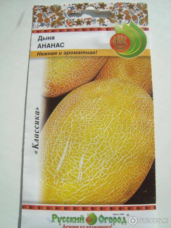 Дыня «ананас f1»: характеристика, выращивание и полезные свойства, фото