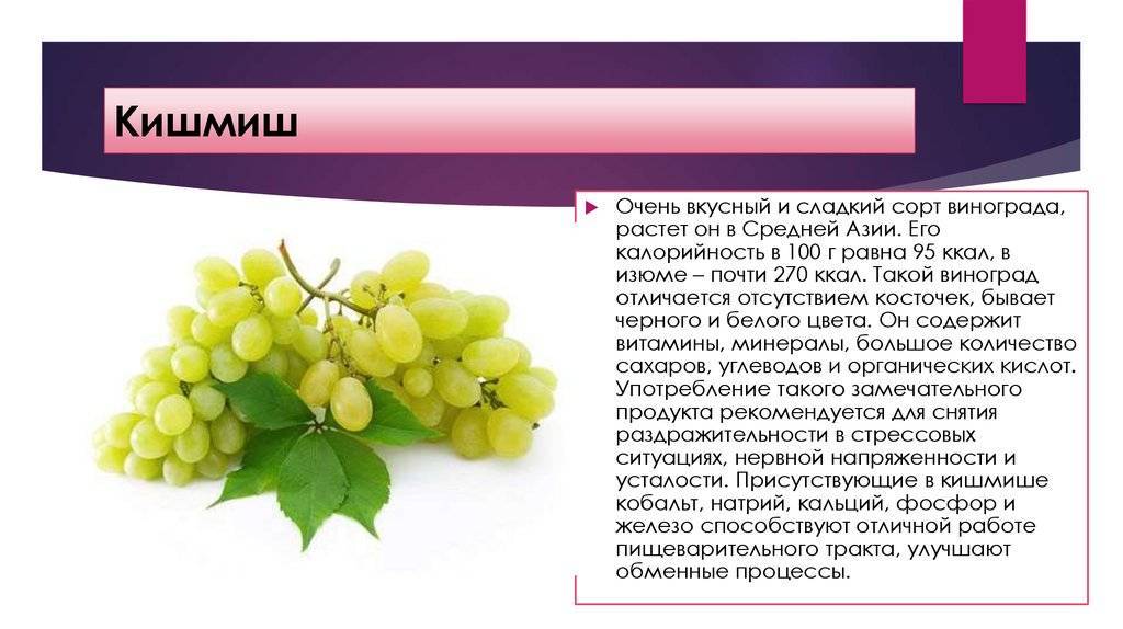 Красные сорта винограда с описанием и фото
