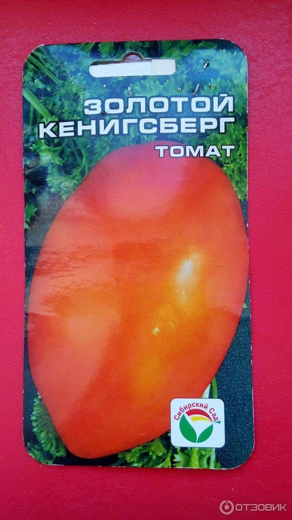 Характеристика и описание томата кенигсберг – отзывы и фото сорта, урожайность разновидностей, особенности выращивания