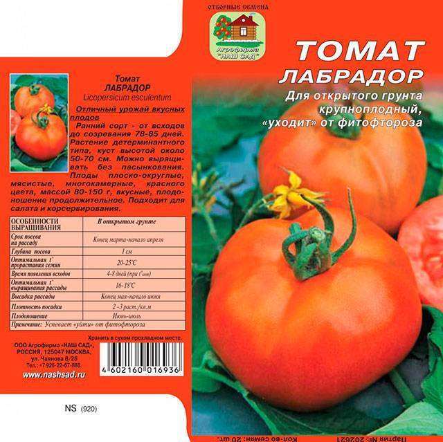Томат лабрадор: описание и характеристика сорта, отзывы садоводов с фото