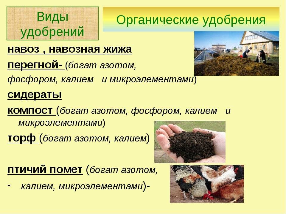Органические удобрения: характеристика, внесение в почву, приготовление своими руками