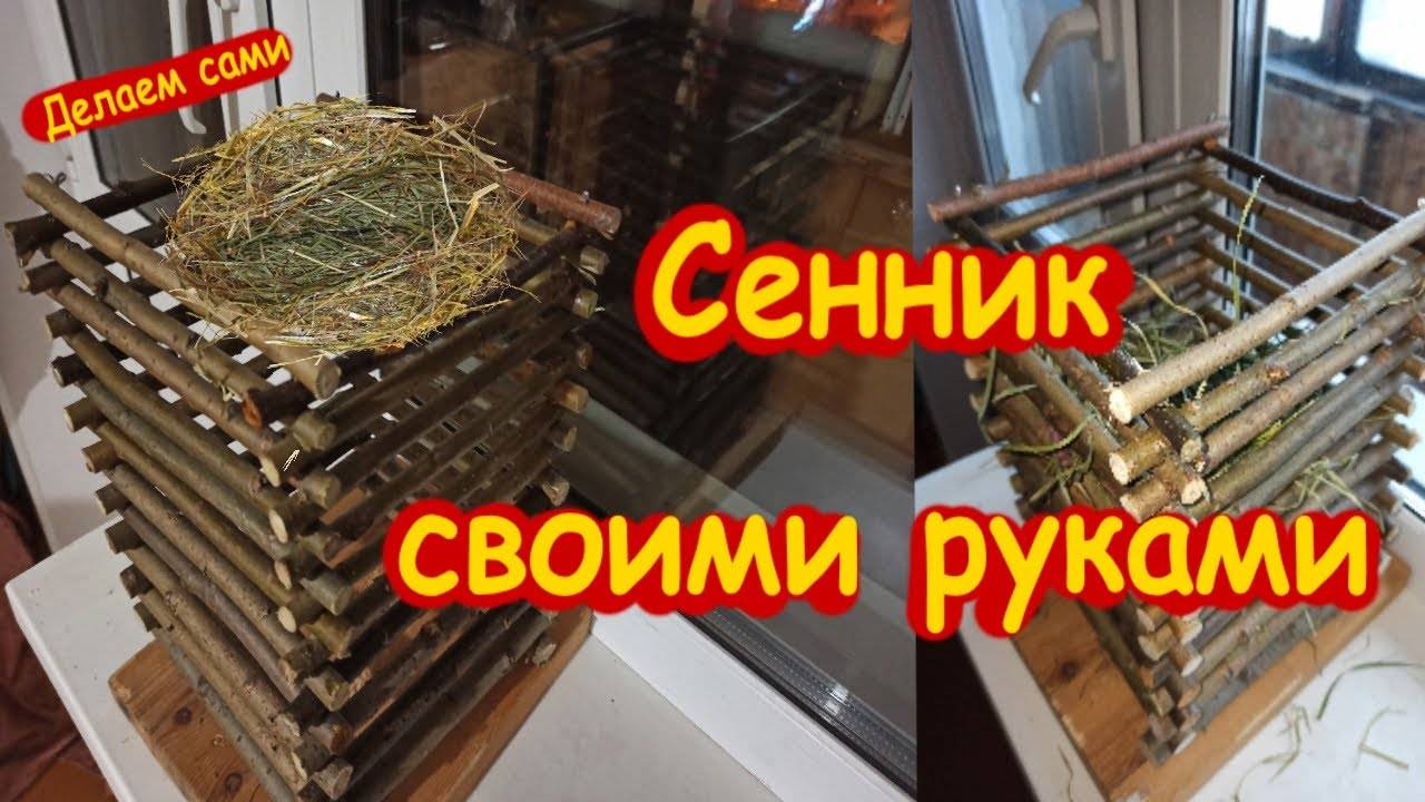 Сенная кормушка для кроликов: какие бывают и как сделать самостоятельно