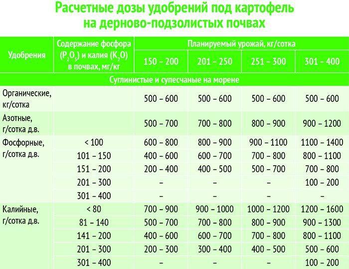 Еврохим схема кормления клубники