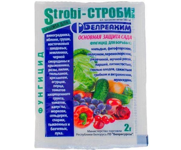 Препарат Строби