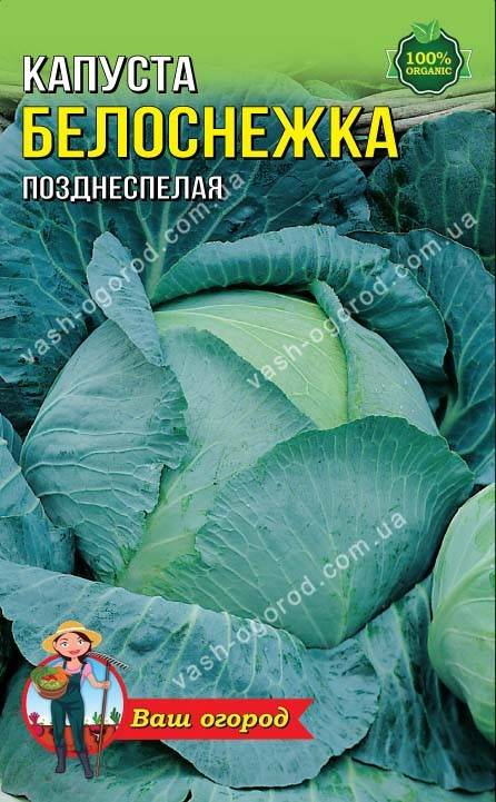 ✅ капуста сорта белоснежка: описание и характеристика, особенности выращивания и ухода за капустой, фото, отзывы - tehnoyug.com