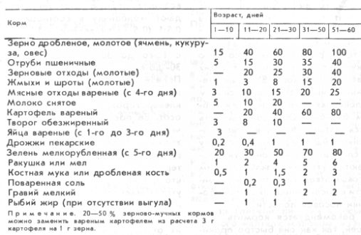 Схема кормления утят