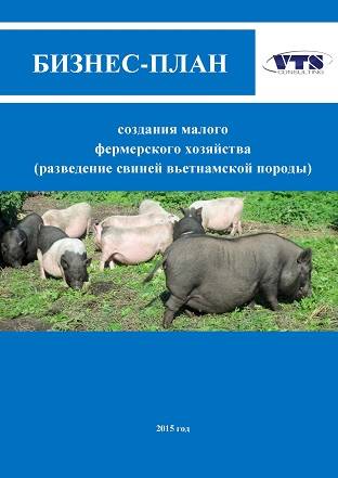 Домашнее разведение свиней как бизнес: основные правила и бизнес-план — finfex.ru