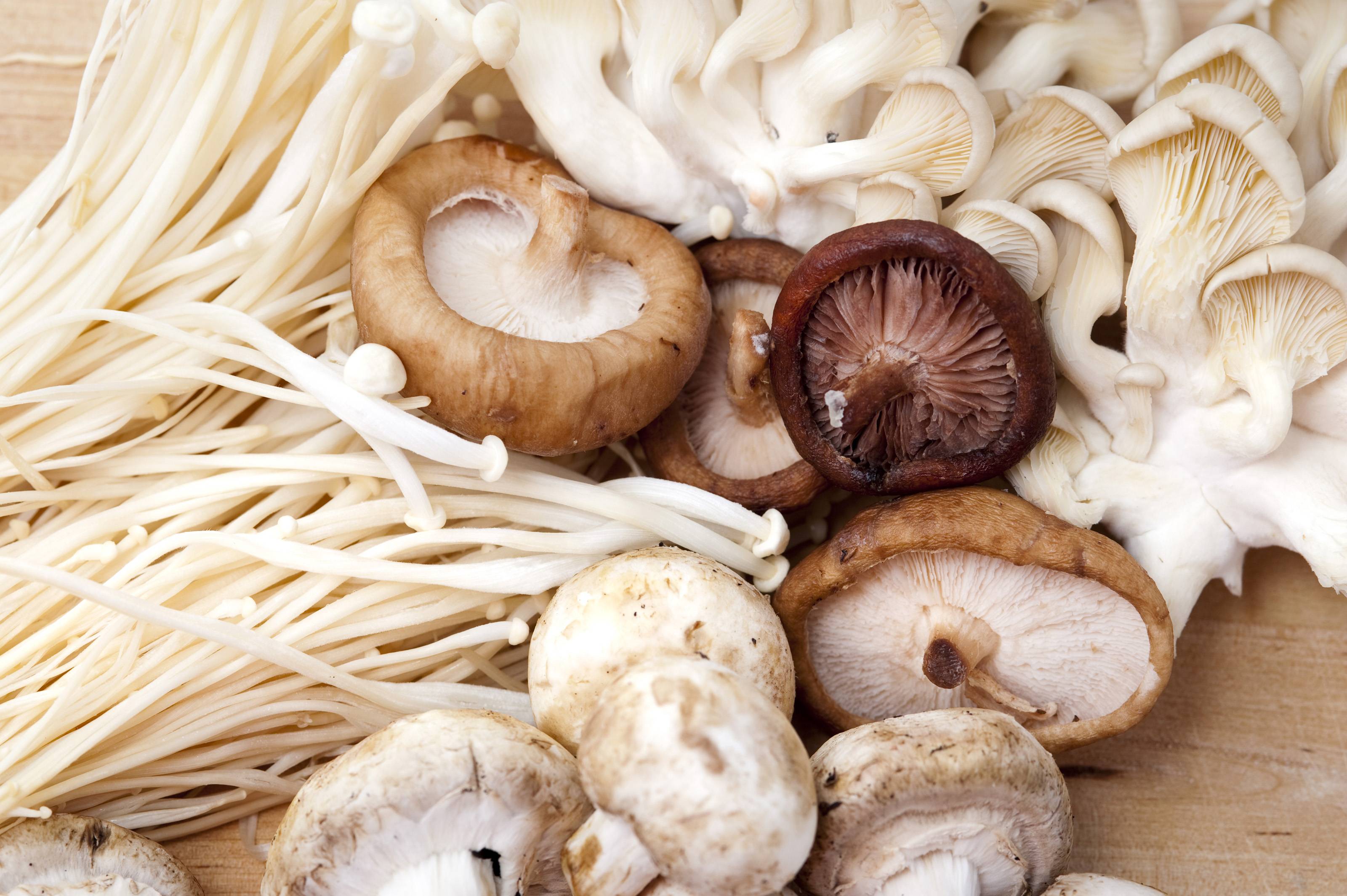 Какие грибы едят сырыми – какие грибы можно есть сырыми