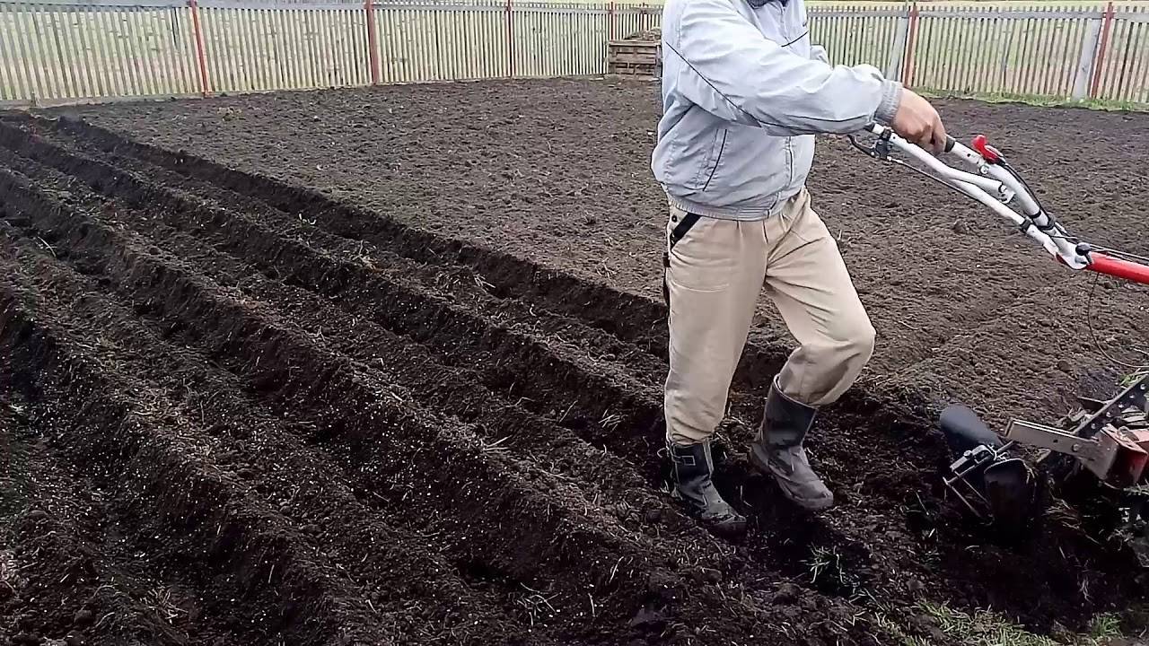 Культиватор для посадки картофеля