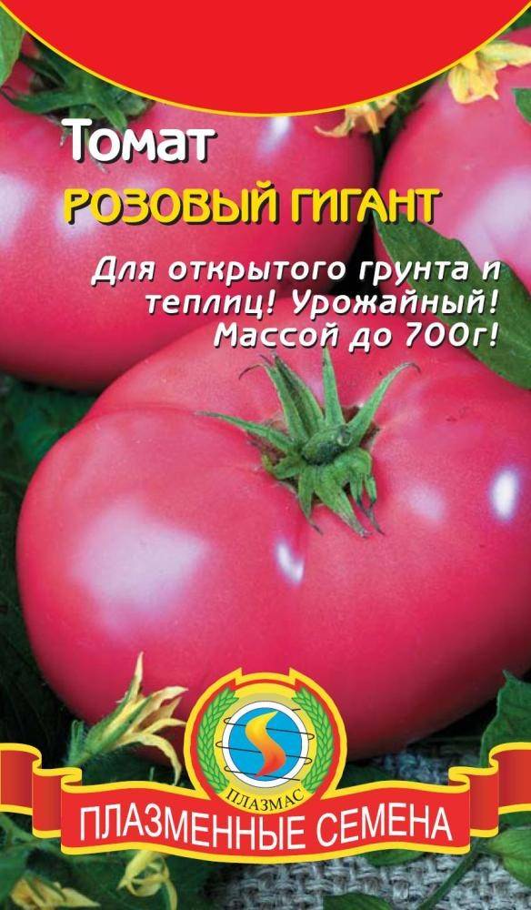 Описание и характеристика сорта помидоров «розовый гигант», преимущества и недостатки этих томатов