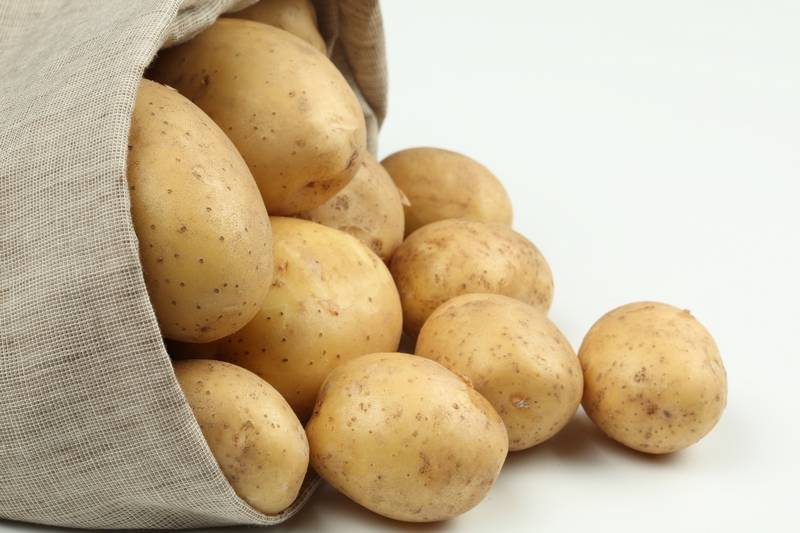 Неоспоримый фаворит среди российских сортов картофеля — лидер: описание и характеристика