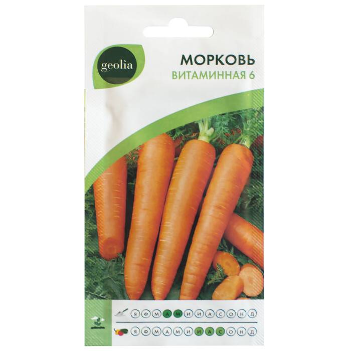 Морковь сорта витаминная 6 — сладкий продукт с дачной грядки. описание и характеристики