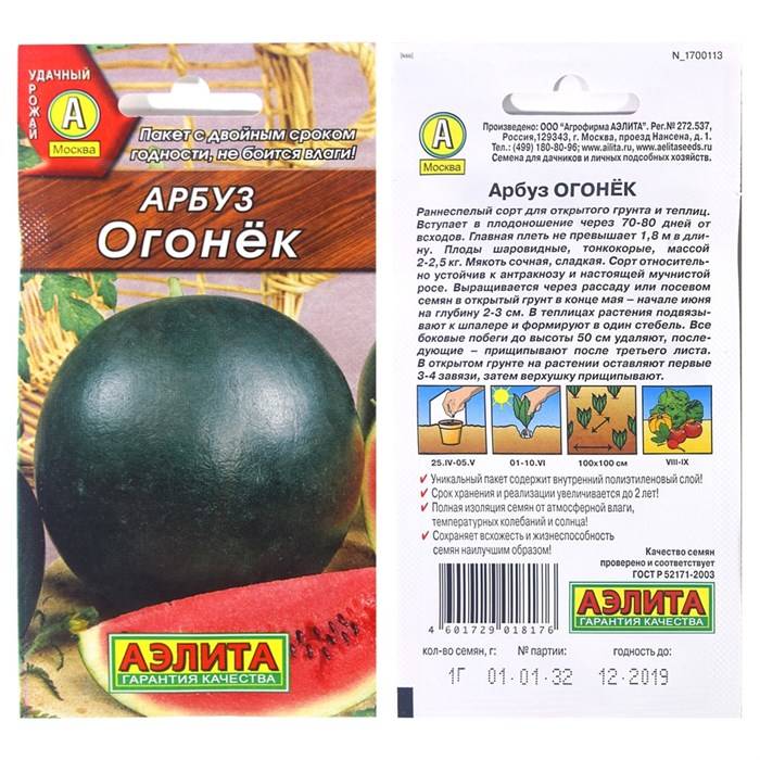 Арбуз огонек: описание сорта, как выращивать, уход