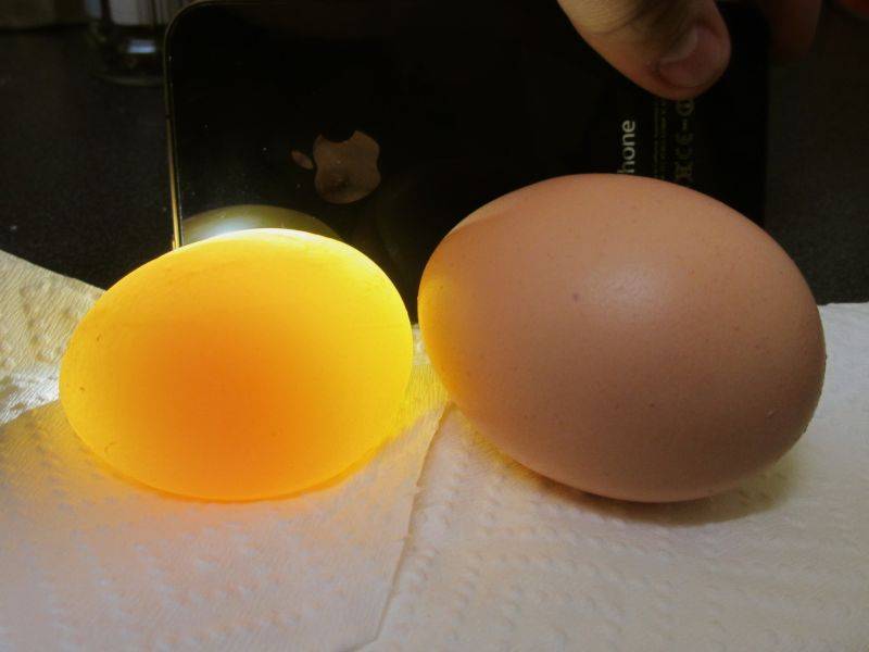 Топ-6 причин, почему куры несут яйца с тонкой и мягкой скорлупой