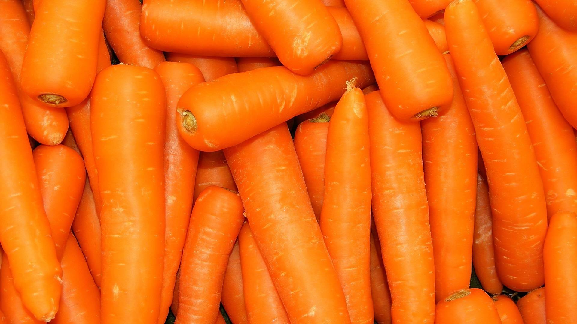 Почему у моркови оранжевый цвет