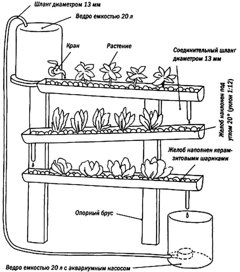 Что такое гидропоника, методы выращивания растений