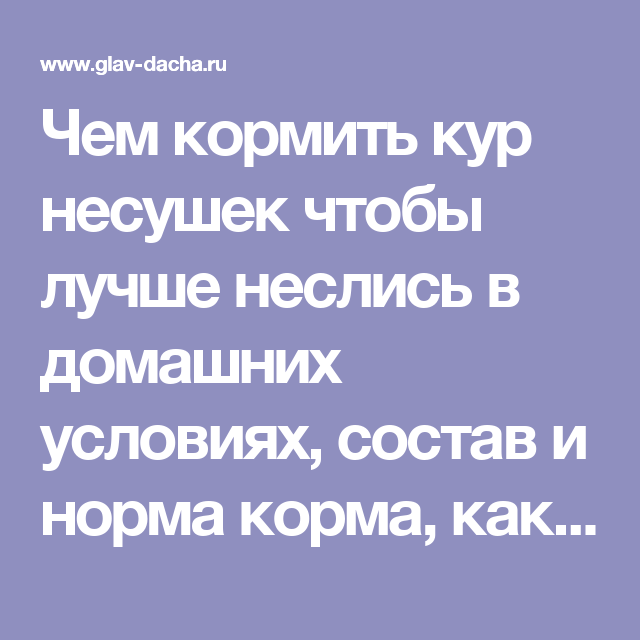 Заговор чтобы куры неслись хорошо каждый день