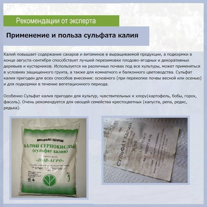 Фосфорно-калийные удобрения для томатов: что и когда вносить?