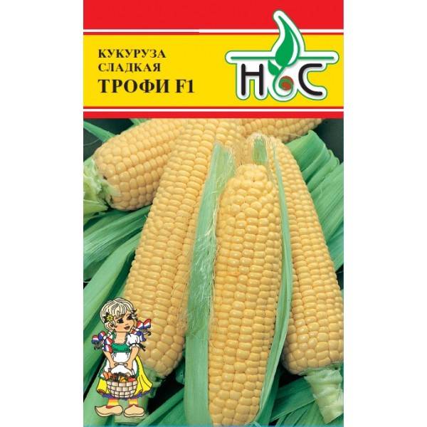 Лучшие сорта кукурузы для посадки