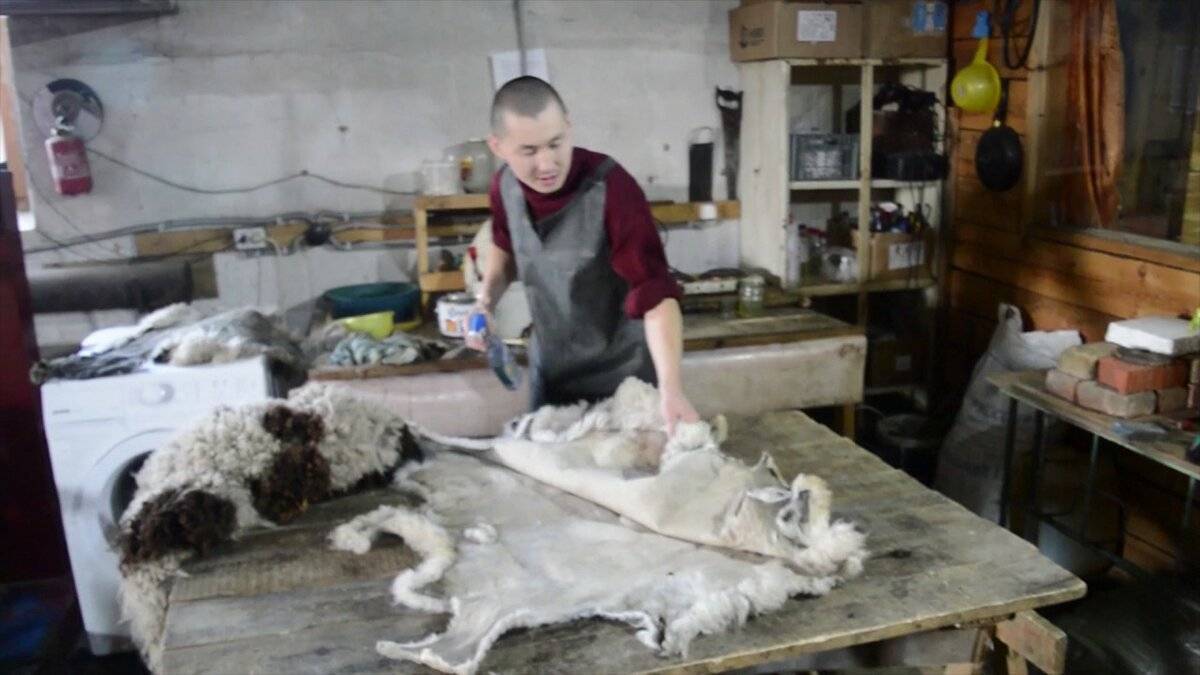 Выделка овечьих шкур самостоятельно, не используя промышленное оборудование и химикаты