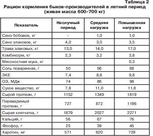 Откорм бычков на мясо бизнес план