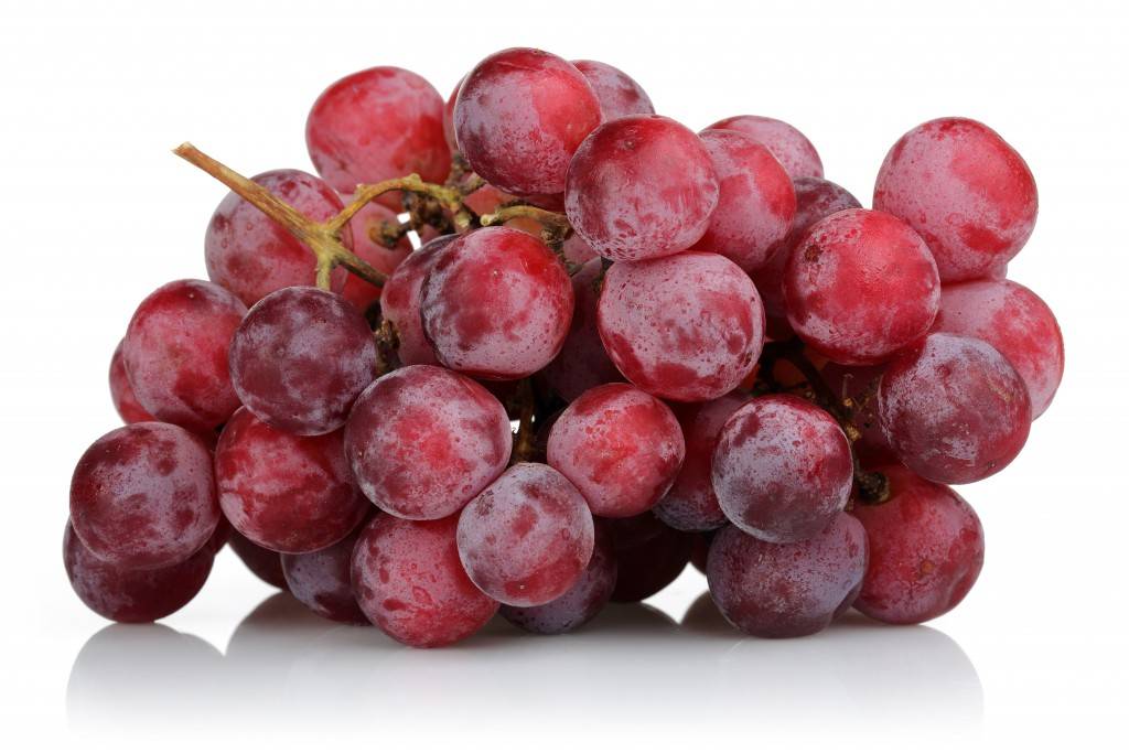 Виноград тайфи: польза и вред, описание сорта, калорийность, фото