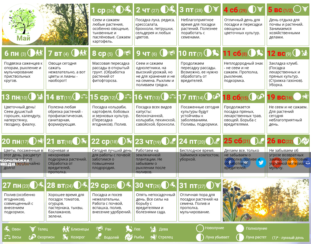 Календарь садовода огородника на каждый день. Благоприятные дни для посадки картофеля. Благоприятные дни для посадки картошки. Неблагоприятные дни для посадки. Благоприятные дни для посадки в мае.