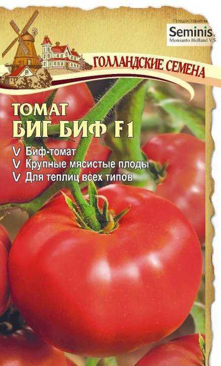 Томаты биф: лучшие сорта и правила выращивания