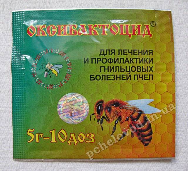 Гнилец у пчел: признаки