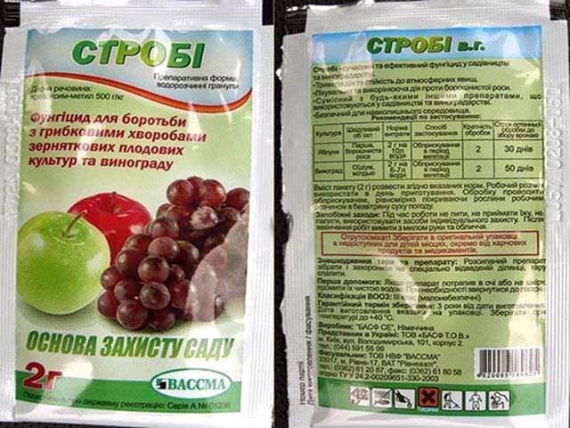 Строби фунгицид: инструкция по применению препарата
