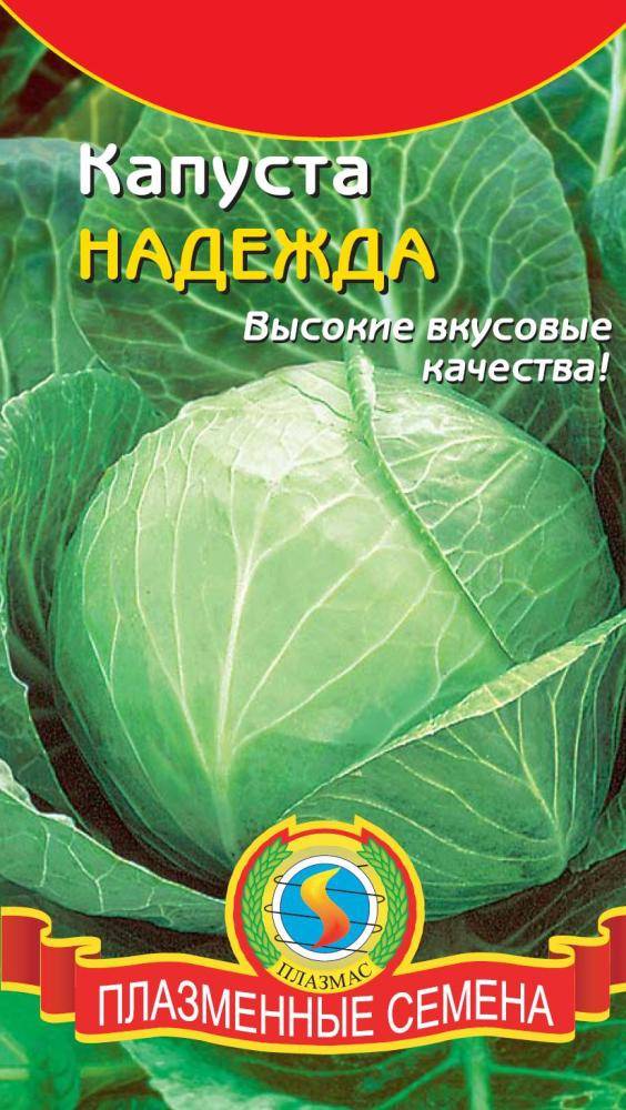 Капуста надежда: характеристики, фото и описание сорта