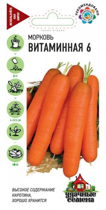 Морковь витаминная 6: выращивание на даче, описание сорта + фото